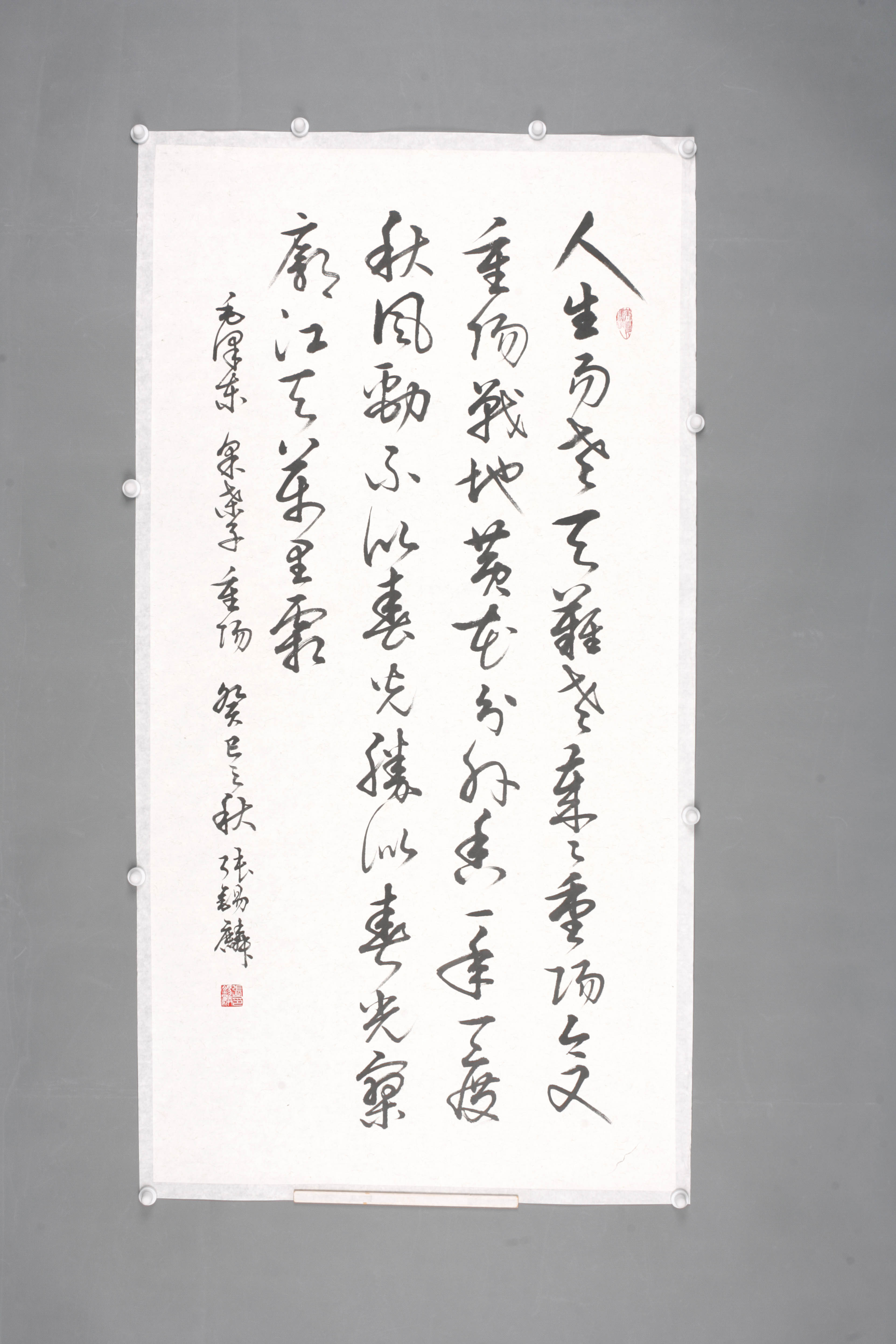 2013年张锡麟行书片