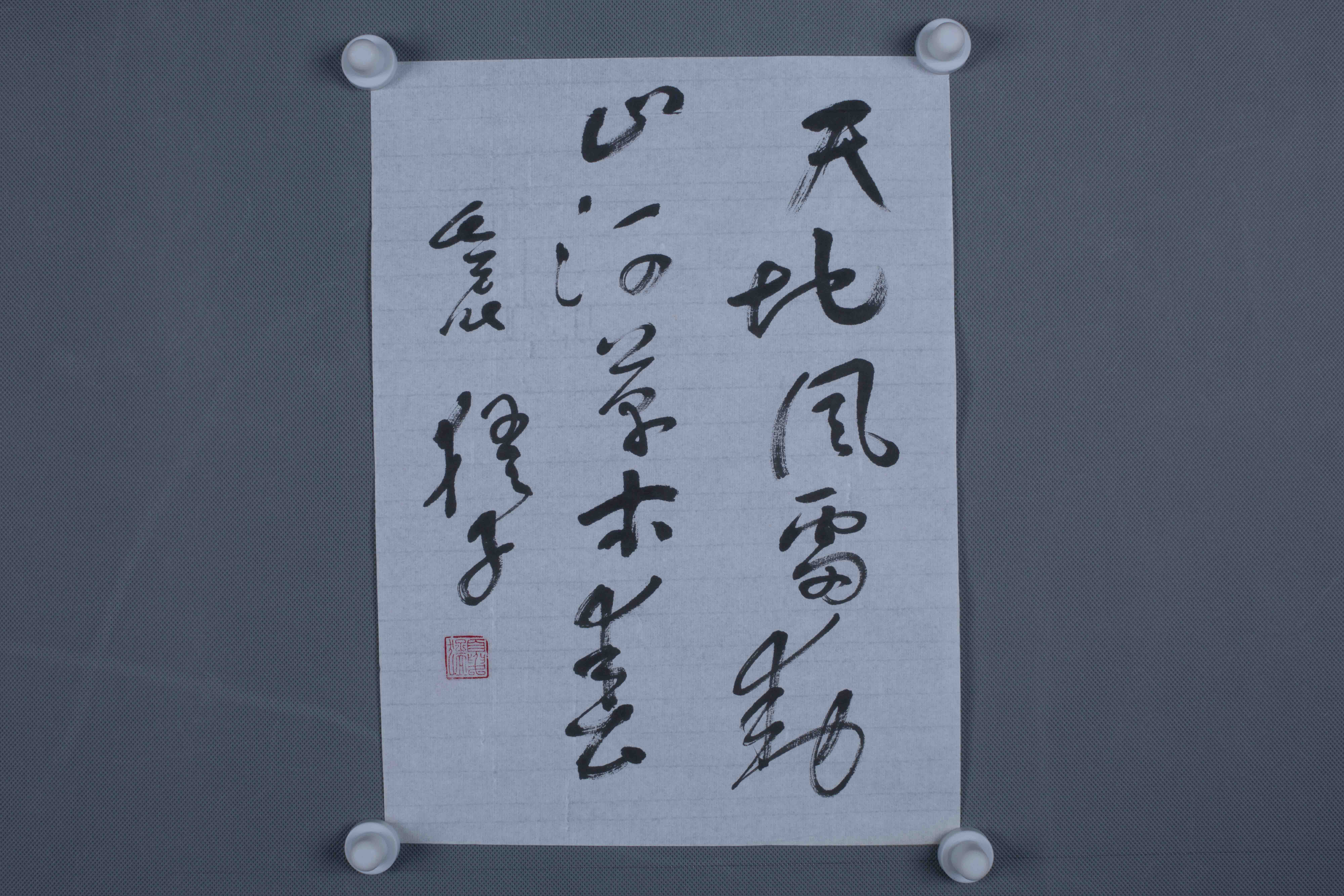 2012年夏猛草书片-3