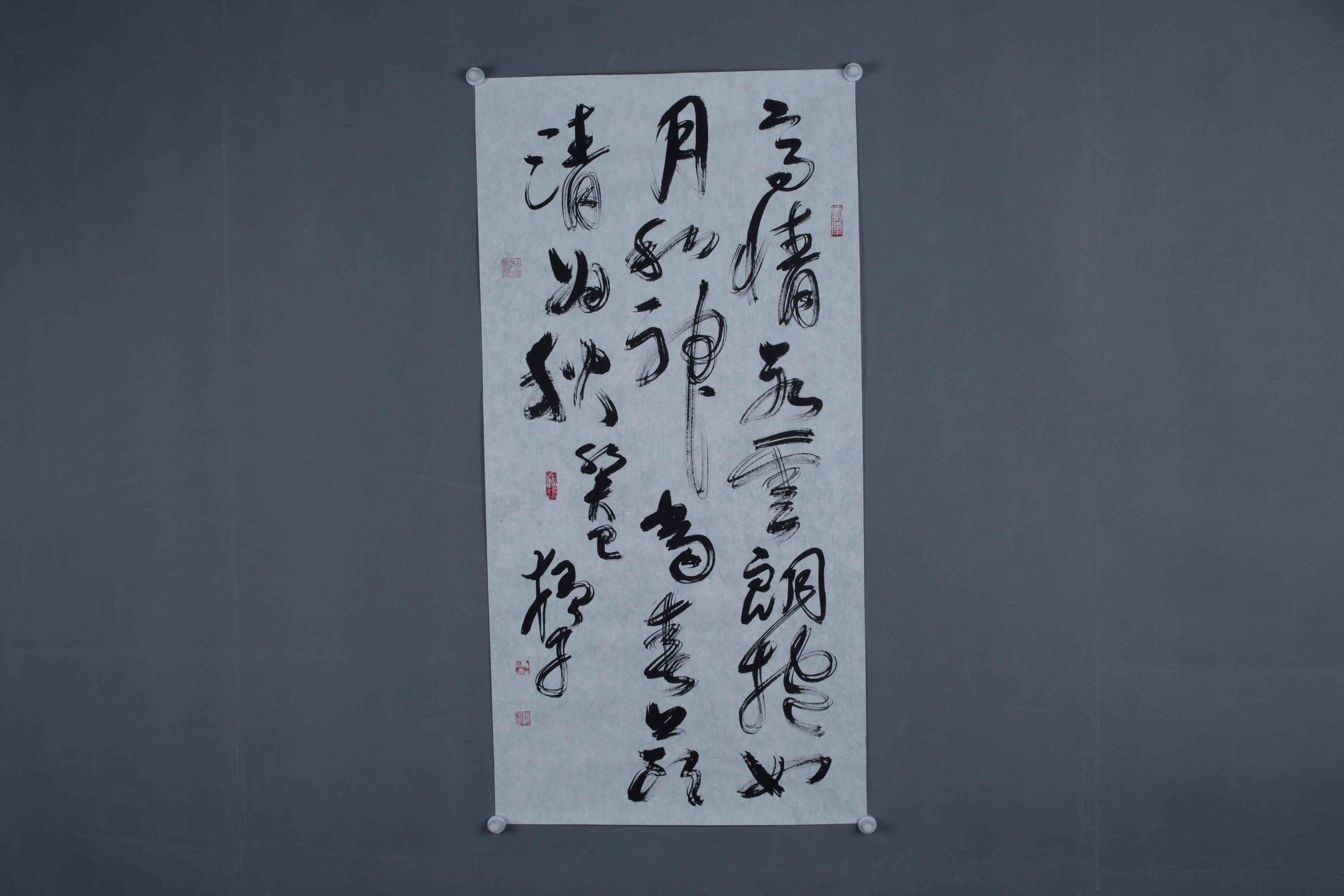 2013年夏猛草书片