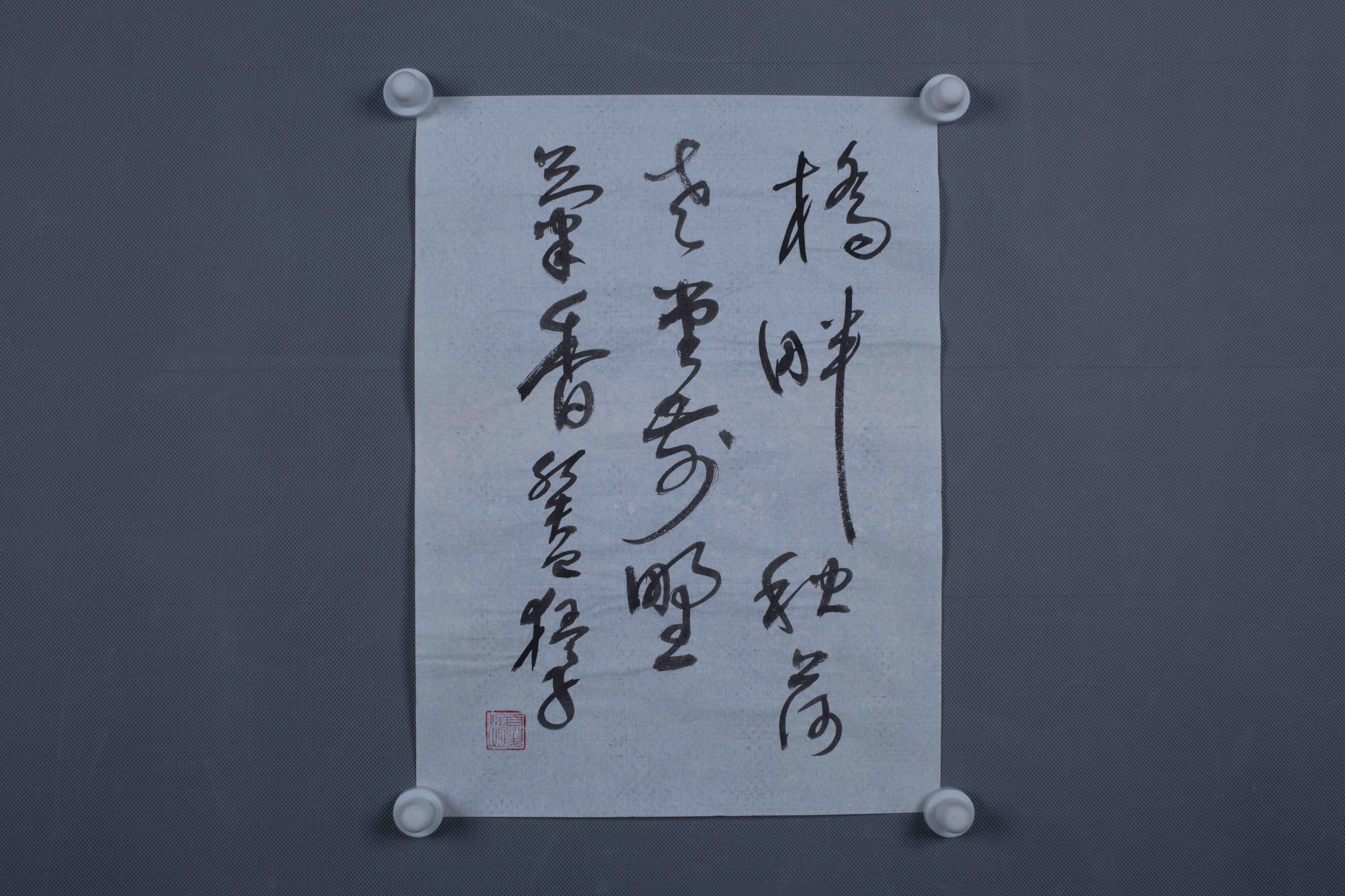 2013年夏猛草书片-3